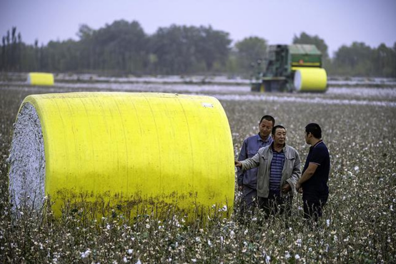 kaida four-wheel drive forklift working in cotton field