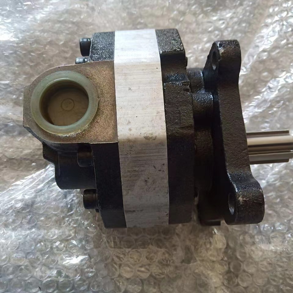 Hydraulic Pump for rough terrain forklifts